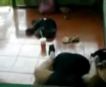 Thumbnail untuk Smu Ketahuan Mesum Lagi Di Ruangan Terbaru Dood