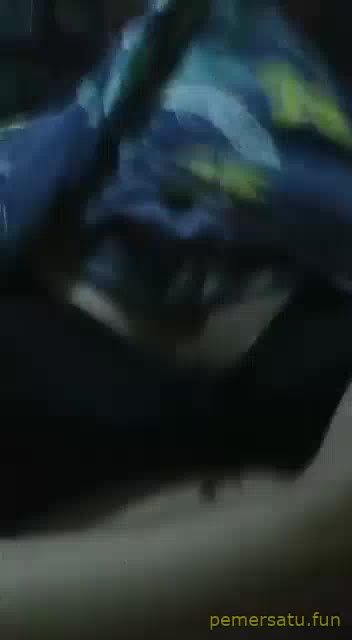 P3 Smp Jilbab Udah Begini Padahal Masih 18yo
