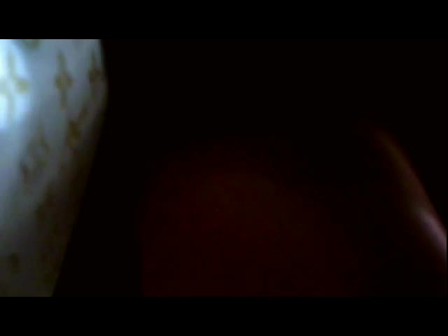 Bondol2