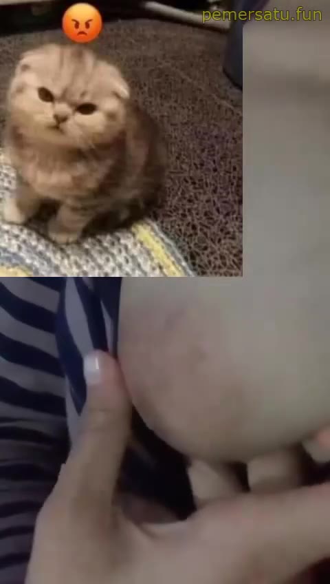  terbaru viral kompilasi fanny abg 18yo fulldur