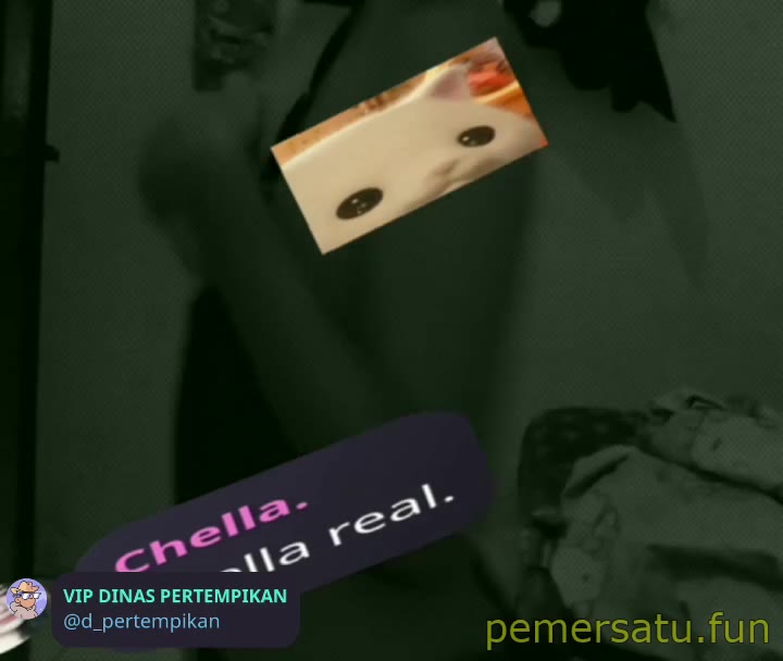 P49 Chella Real Abg 18yo Dan Isi Konten Jualan Colok Memek Pemersatu Fun