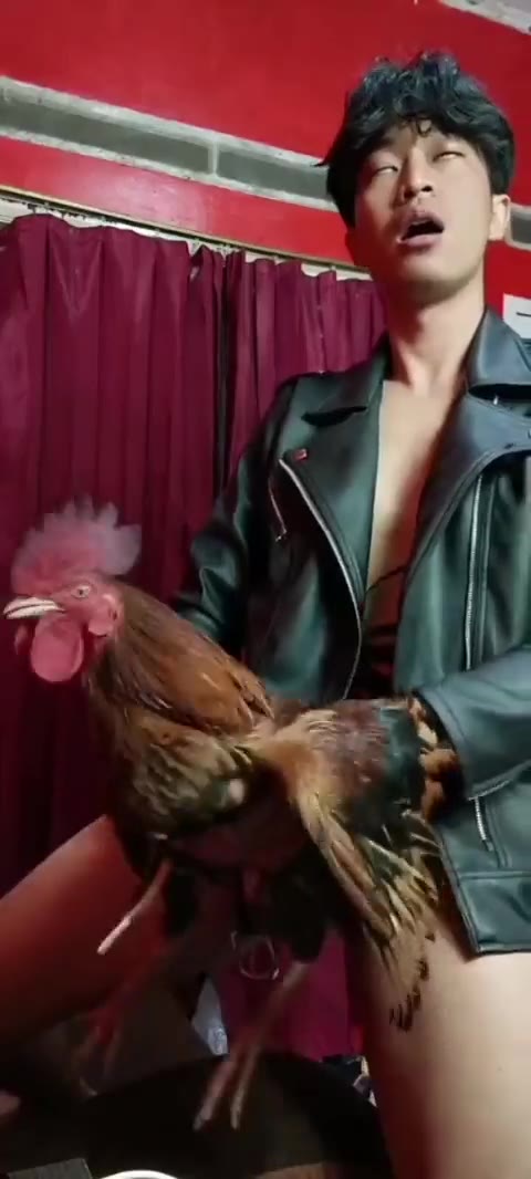 Thumbnail untuk Ngewe Sama Ayam Toketbagus Com dood tele Tobrut
