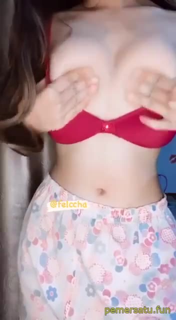 P20 Felca Alter ABG 18yo Pemersatu Fun MOV