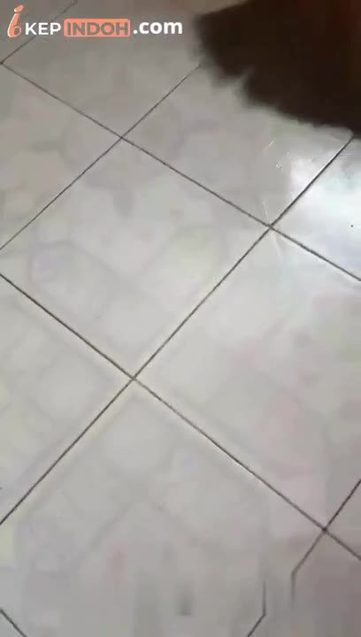 Thumbnail untuk Bokep Indo Kurir Cod Dildo Di Suruh Review