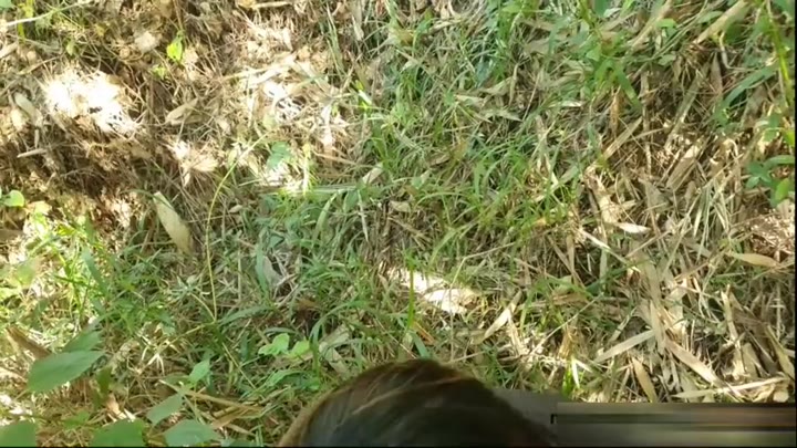 Thumbnail untuk Ngewe Di Hutan Streamcroot tante yona pekoblive Video