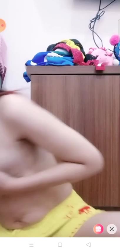 Live Maya TT Sugar