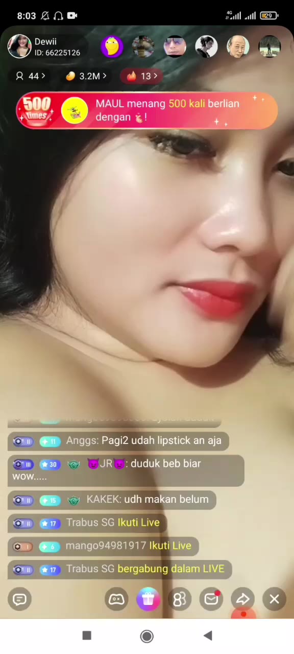 15 DMX DEWI Barbar