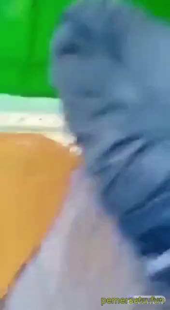 Ibadah Biadab Ngewe Di Tempat