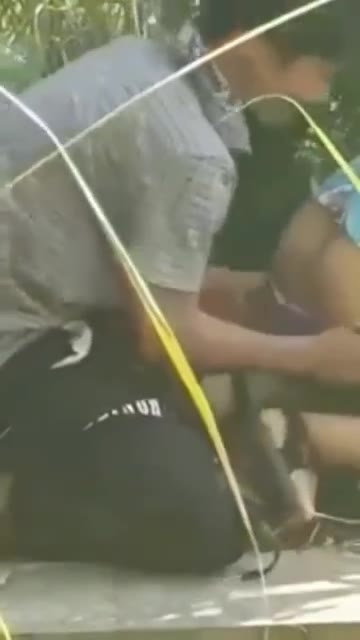 Semak-semak Ngintip Orang Pacaran Di