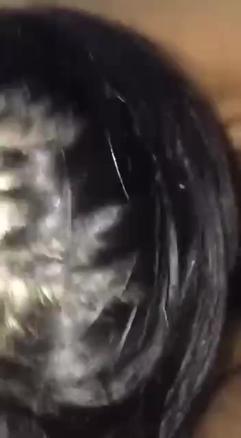Thumbnail untuk Abg Tetek Gede Siap Ikat Rambut Langsung Ngisap