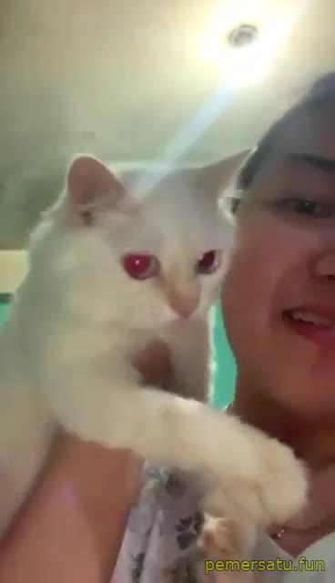P1 Janica Abg 18yo Doyan Kontol Mov