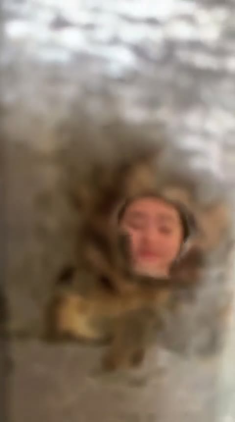 Thumbnail untuk Ngintip Kosan Tetangga Doodstream Tiktok Bochiel Memeksiana Bokepind