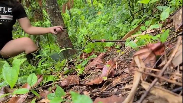 Petani Semok Ngewe Di Kebun Pisang simontok Terupdate