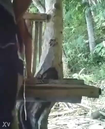 Masuk Ketahuan SMA Lagi Tanggung Ngentot Baru