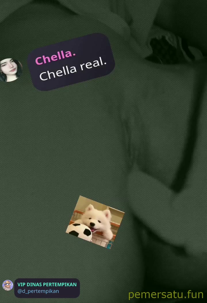 P43 Chella Real Abg 18yo Dan Isi Konten Jualan Colok Memek Pemersatu Fun
