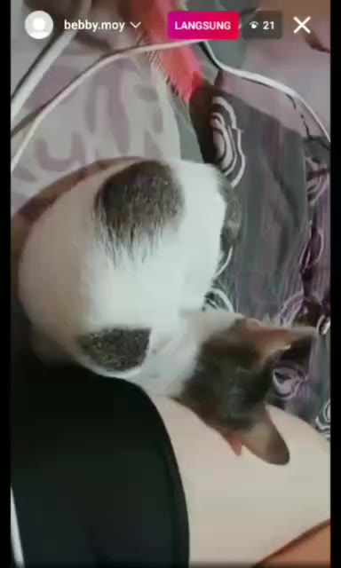 Part1 Bebymoy