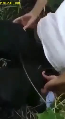 (new) Udah Bisa Gangbang