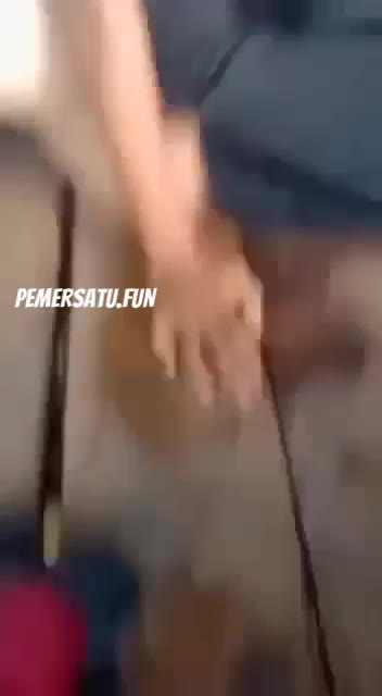 TIKTOKK PEMERSATU