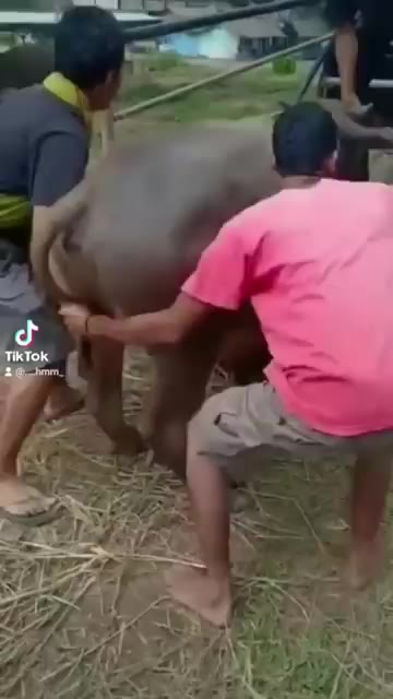 Thumbnail untuk Muncrat Sampe Terbayang Sampai Tujuh Turunan Kenangan Yang