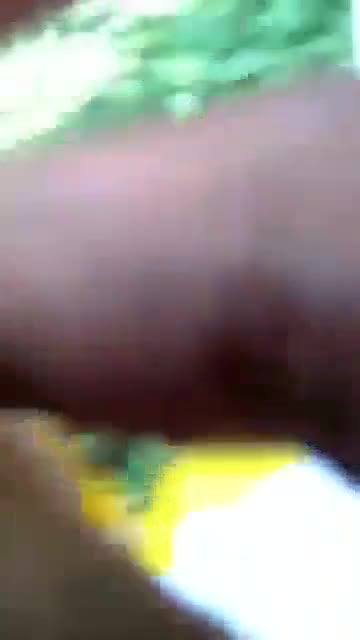 Thumbnail untuk Bokep Indo Ngewe Disemak Semak Doodstream Tele Download