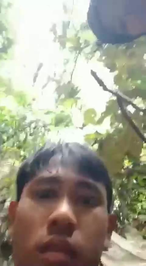VIRAL PACITAN