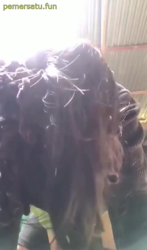 Dapur Entot Memek Adik Sepupu Dari Belakang Di