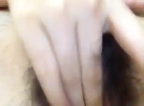 Amira6-6