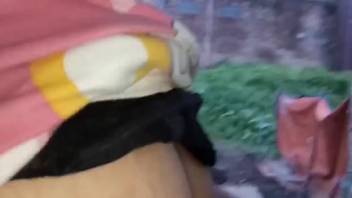 Thumbnail untuk Mesum Di Kebun Ngomong Lucu Wkwk Doodstream Video