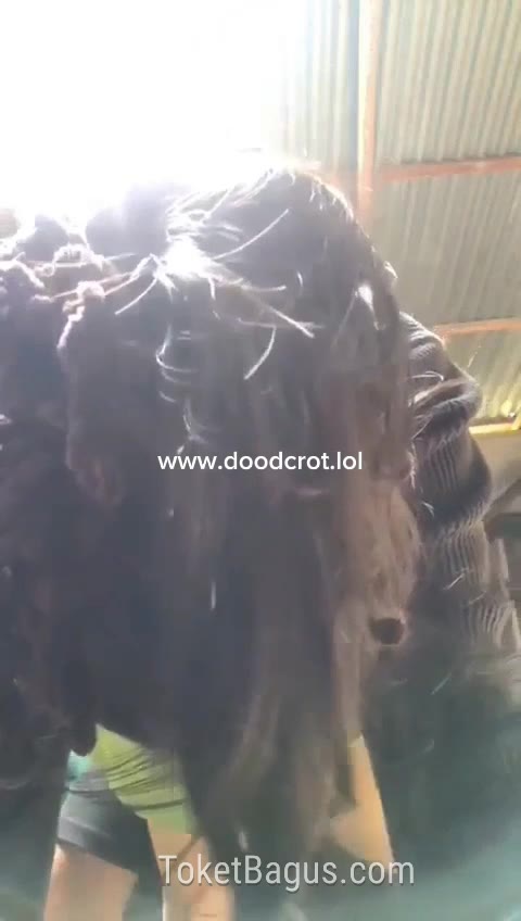 Thumbnail untuk Adik Kakak Ngewe Di Dapur Dood tele Website