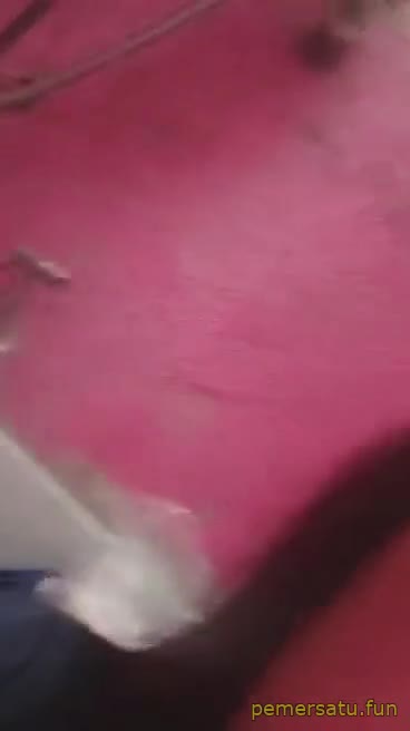 P52 Tante Maria Cantik Jelita Manja Colmek Ngewe Mov