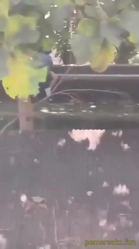 Outdoor Ngintip Abg Pulang Sekolah Ngentot