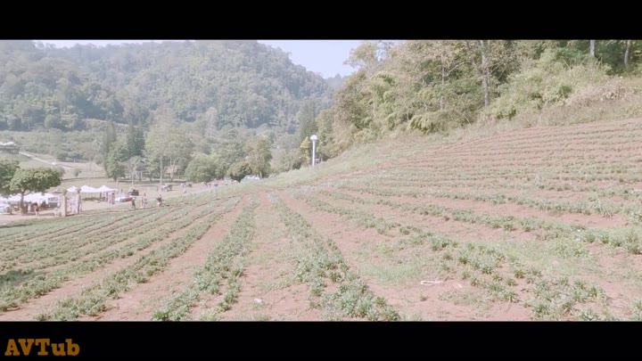 Thumbnail untuk Serutube Bokep Vlog Romantis Pasangan Remaja Berujung Ngentot