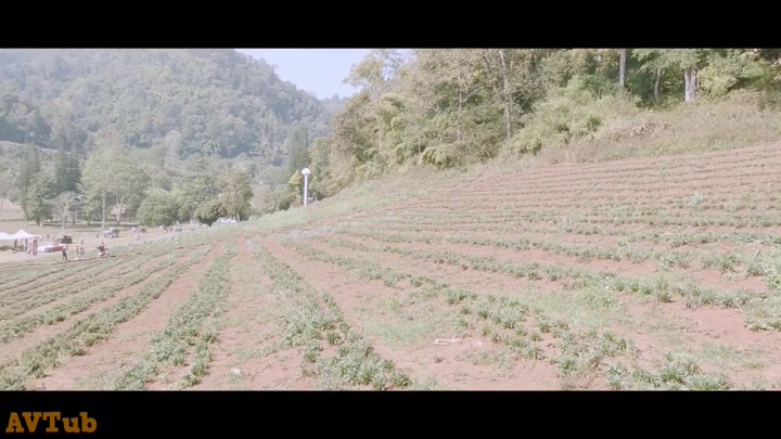 Thumbnail untuk Bokep Vlog Romantis Pasangan Remaja Berujung Ngentot Di