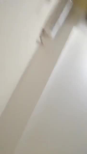 Thumbnail untuk Rugi Ngga Nonton Cewek Indo Putih Behel Colmek