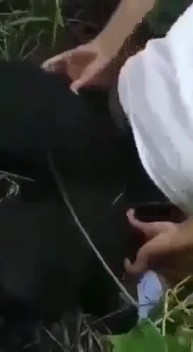 Semak Esempe Kena Gili Di