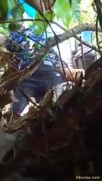 Semak Bacol - Bokep Indo Ngintip ABG Ngewe Di