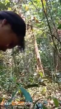 Kebon Viral Abg Bocil Asik Ngentot Di
