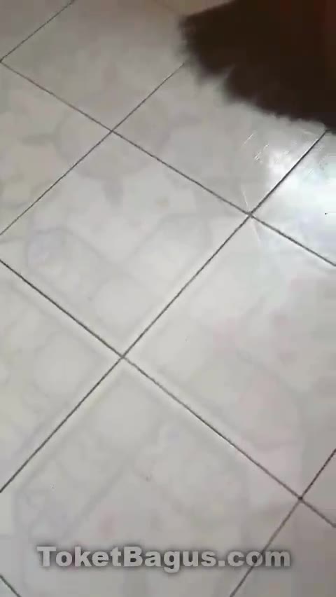 Thumbnail untuk Kurir Paket Cod Dildo Malah Disuruh Praktekin Ke