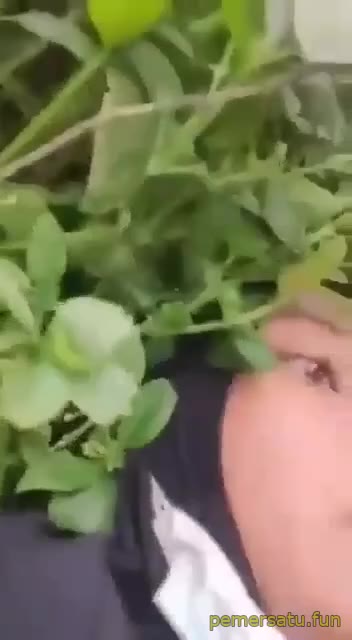 Hutan Jilbab Abg 18yo Dientot Kuli Bangunan Di