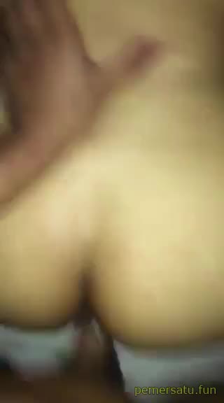 P23 Jvids