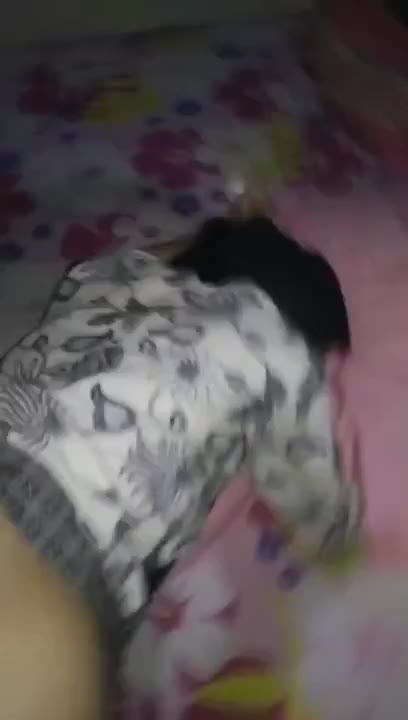 Thumbnail untuk Pacaran Sama Cewek Jilbab Bisa Ngewe Staklam Terabox