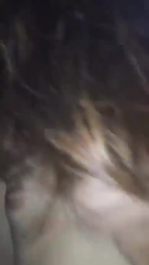 Thumbnail untuk Cewek Cantik Jago Nyepong Dan Jilat Web bekeh