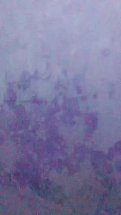 Thumbnail untuk Ukhti Binal Suka Dildo Neng Video colmek Bokepind