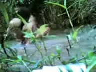 661) Lagi Mancing Eh Malah Ketemu Dua Abg Lagi Ngentot(2023 06 07 17 48 26