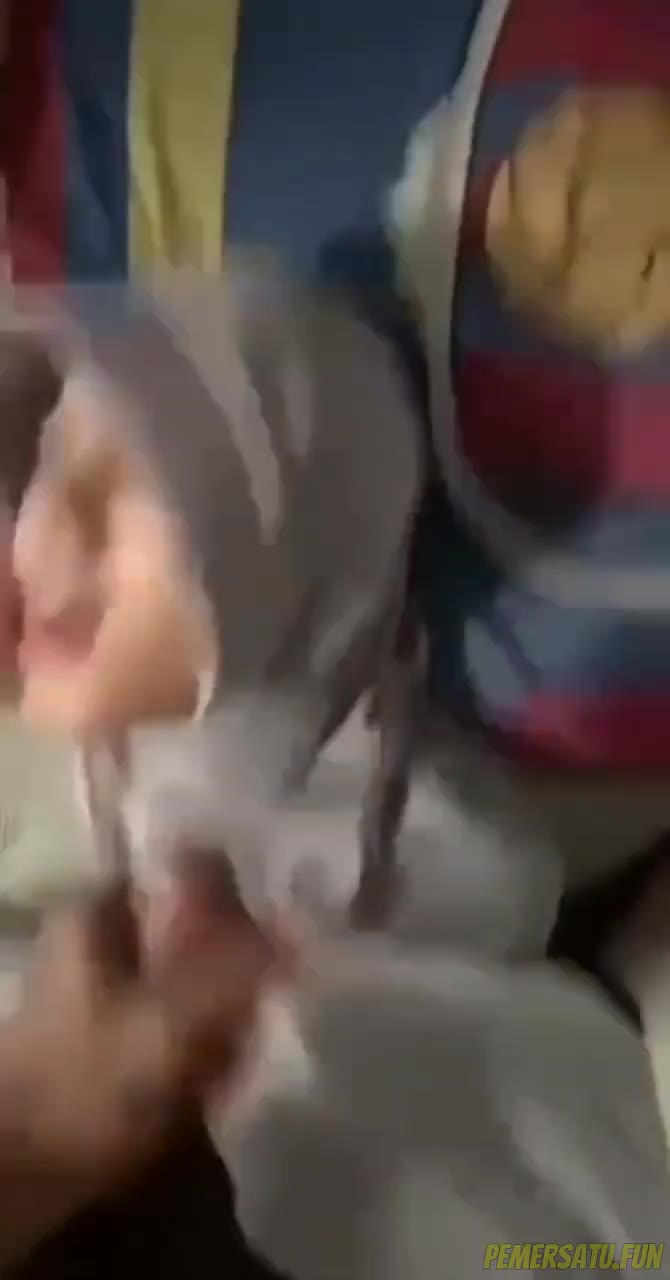 P10 Jilbab Abu Cantik Viral Banyak Videonya