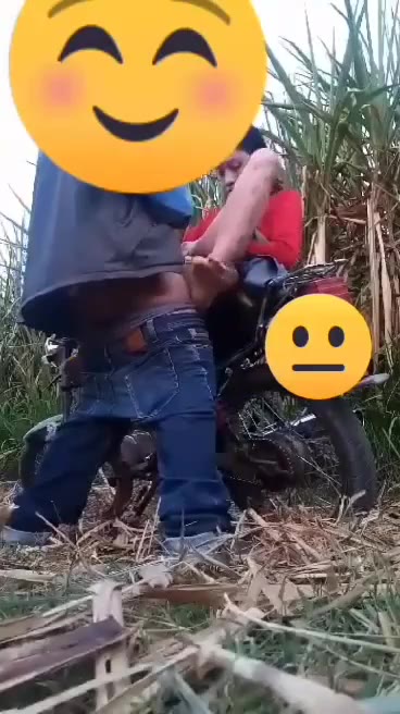TEBU SMA W1KW1K DI KEBUN
