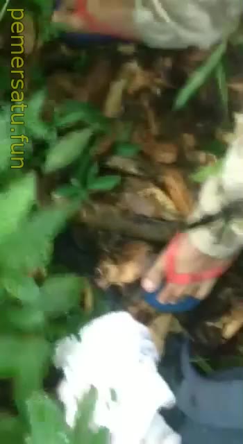 Ketahuan Kompilasi Jilbab Sepong Outdoor Takut