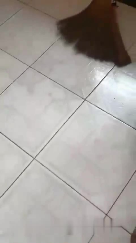Ceweknya Kurir Paket COD Dildo Malah Disuruh Praktekin Ke Memek