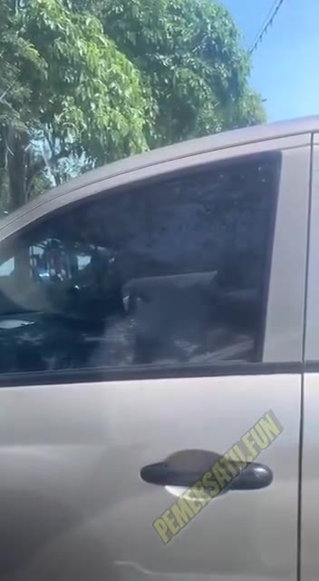 Parkiran Ngintip Rekam Jilbab Ngentot Dalam Kereta Di