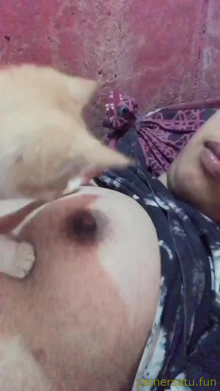 P51 Hape Neni Abg 18yo Saat Service Hape Isinya Ngentot Sange